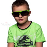 2023-08-09-SZYMON-Sesja-Fotostudio-Okulary-ZIELEŃ-Jurassic-Park-DINO--Fotograf-Magdalena-Wyrebek-Mannheim-Nikon-1