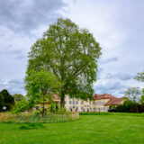 2024-05-03-ŚLUB-w-Zamku-Slub-Zamek-DARIA&JAN-Hochzeit-Schloss-Edingen-Neckarhausen-Fotograf-Mannheim-Magdalena-Wyrębek-BW-Niemcy-Nikon-95