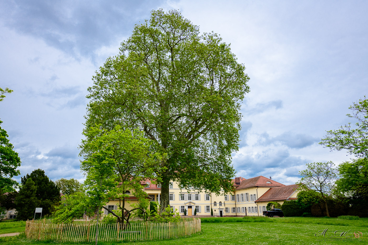 2024-05-03-ŚLUB-w-Zamku-Slub-Zamek-DARIA&JAN-Hochzeit-Schloss-Edingen-Neckarhausen-Fotograf-Mannheim-Magdalena-Wyrębek-BW-Niemcy-Nikon-96