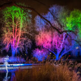 2018-02-02-LUISENPARK-Winterlichter-Baume-PARK--Fotograf-Mannheim-Magdalena-Wyrebek-Nikon-1-2