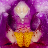 Fot. Magdalena Wyrębek (Sterna) - FotoMegiSia ( www.magdalena.wyrebek.com )