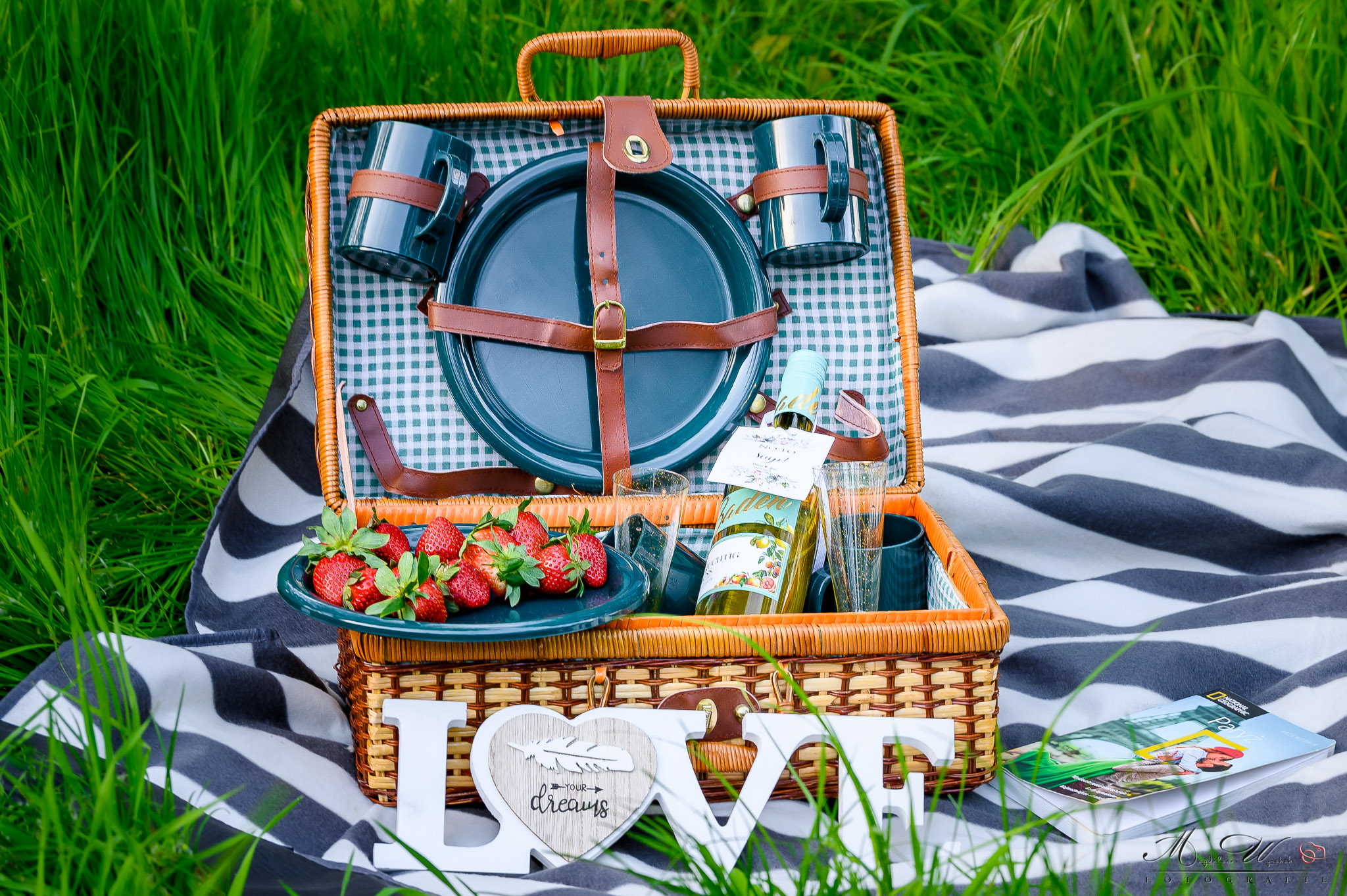 2024-04-17-Sesja-Narzeczeńska-PIKNIK-Narzeczeni-Daria&Jan-Silberpappel-Neckarau-Fotograf-Mannheim-Magdalena-Wyrębek-WWW-79