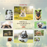 Promocja z okazji DNIA PSA (01.07.2025) – SESJA ZWIERZĘCA w plenerze MANNHEIM