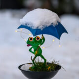 2026-01-07-ŻABA-FROG-FROSCH-Ogród-Garten-Garden-DEKO-Śnieg-SCHNEE-SNOW-Luzenberg-Fotograf-Mannheim-Magdalena-Wyrebek-Nikon-1